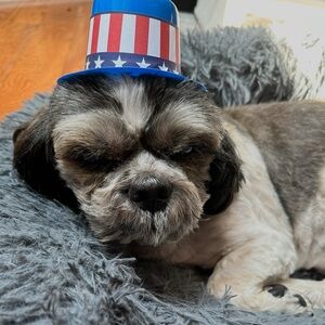 Meet your Posher, poshfun